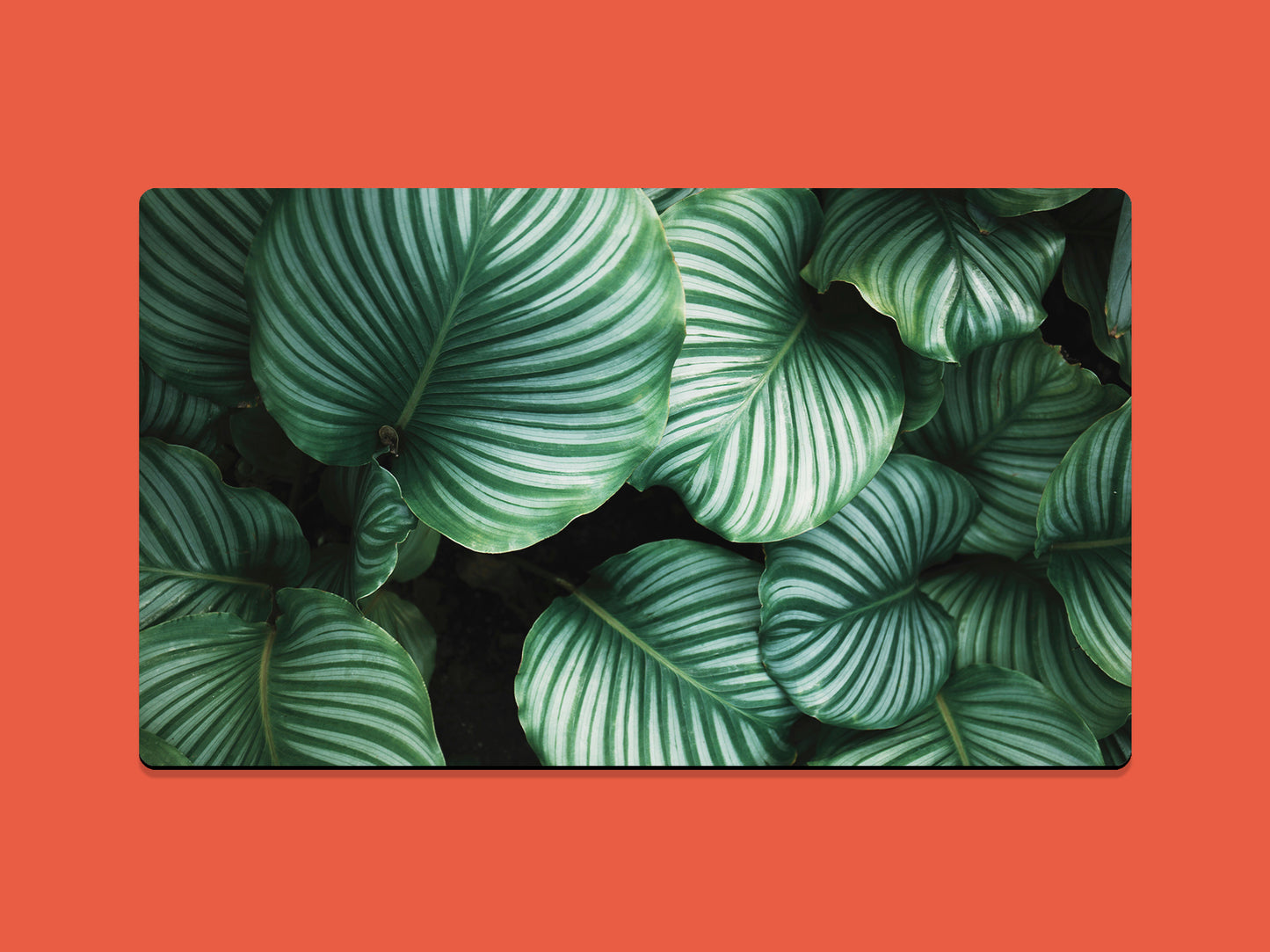 Green And White Rounded Leaves Gaming Mat - Desk Mat - 3 SIZES