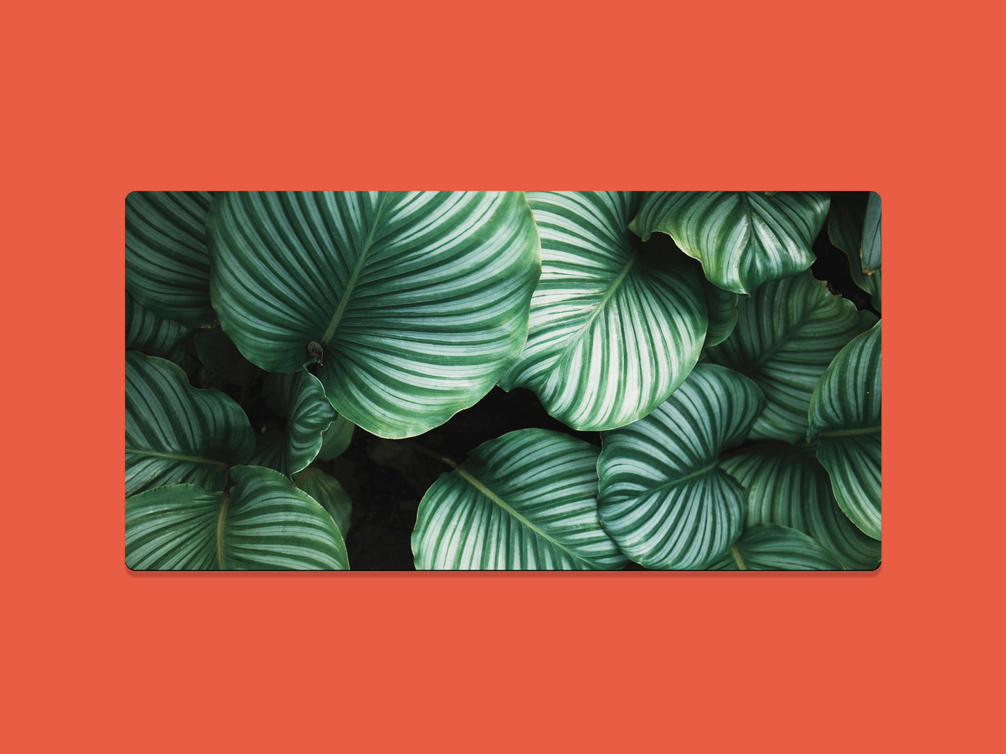 Green And White Rounded Leaves Gaming Mat - Desk Mat - 3 SIZES